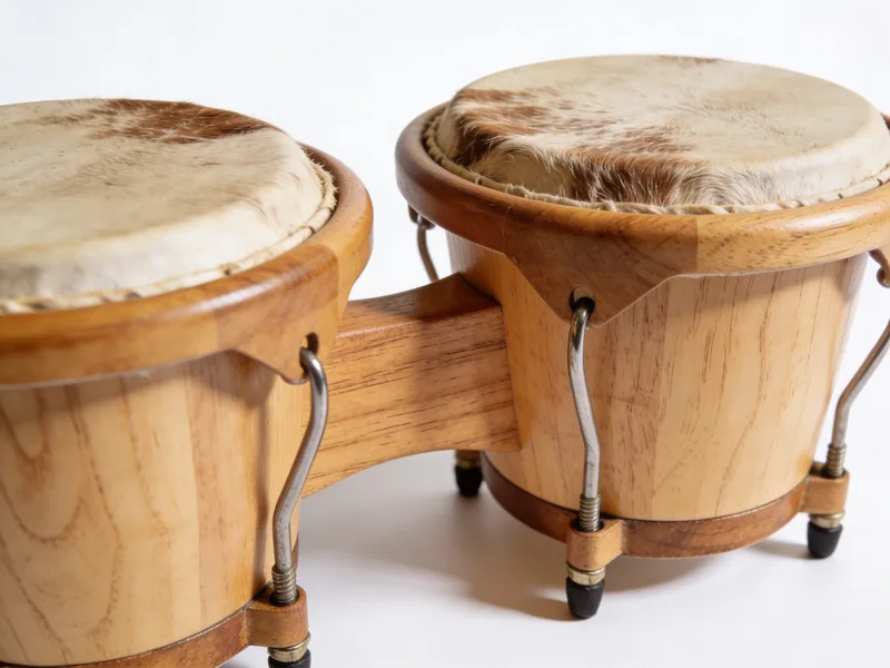 Bongos lernen
